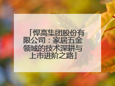 悍高集团股份有限公司：家居五金领域的技术深耕与上市进阶之路